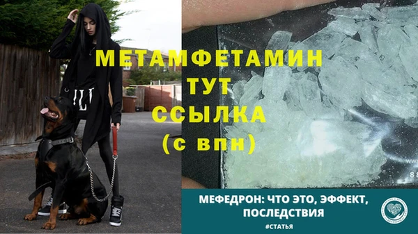 PSILOCYBIN Беломорск