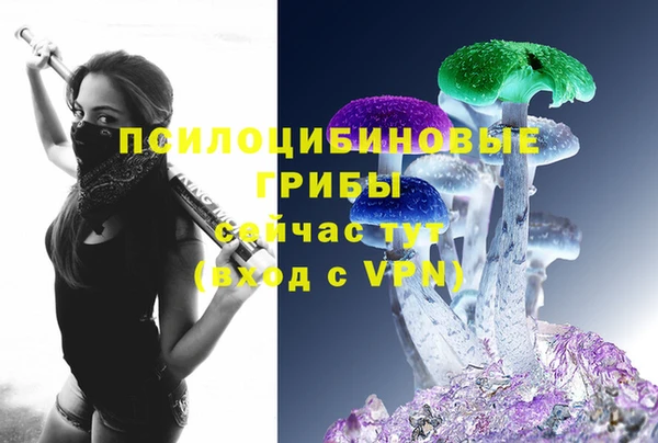 PSILOCYBIN Беломорск